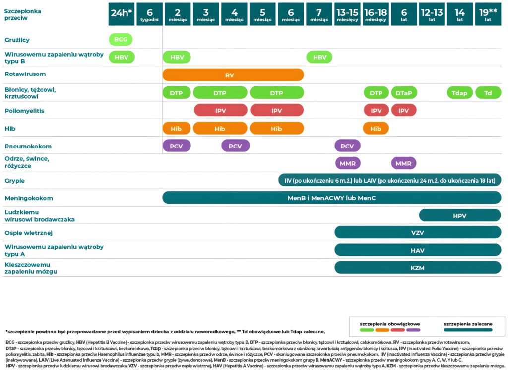 Kalendarz szczepień